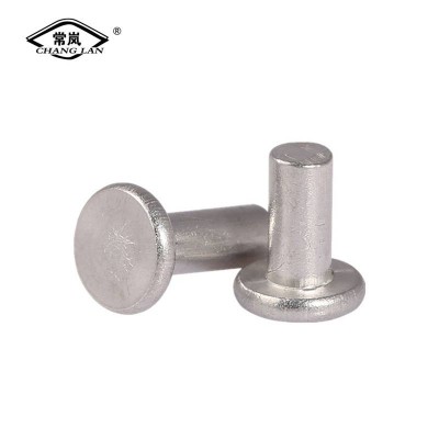 Flat Head Rivet Solid Rivet